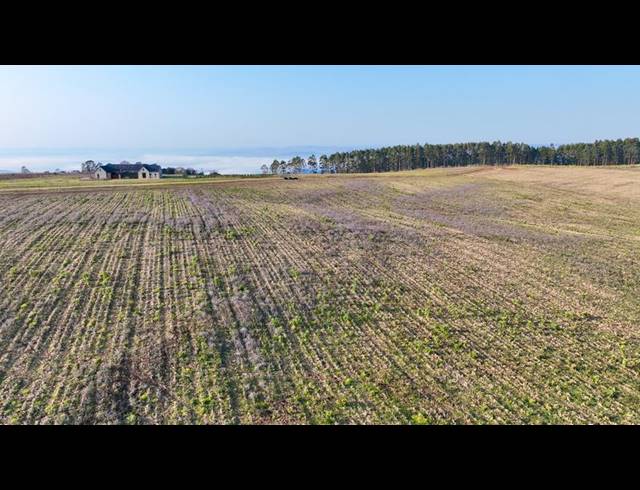 FARM FOR SALE IN MOUNT VERDE